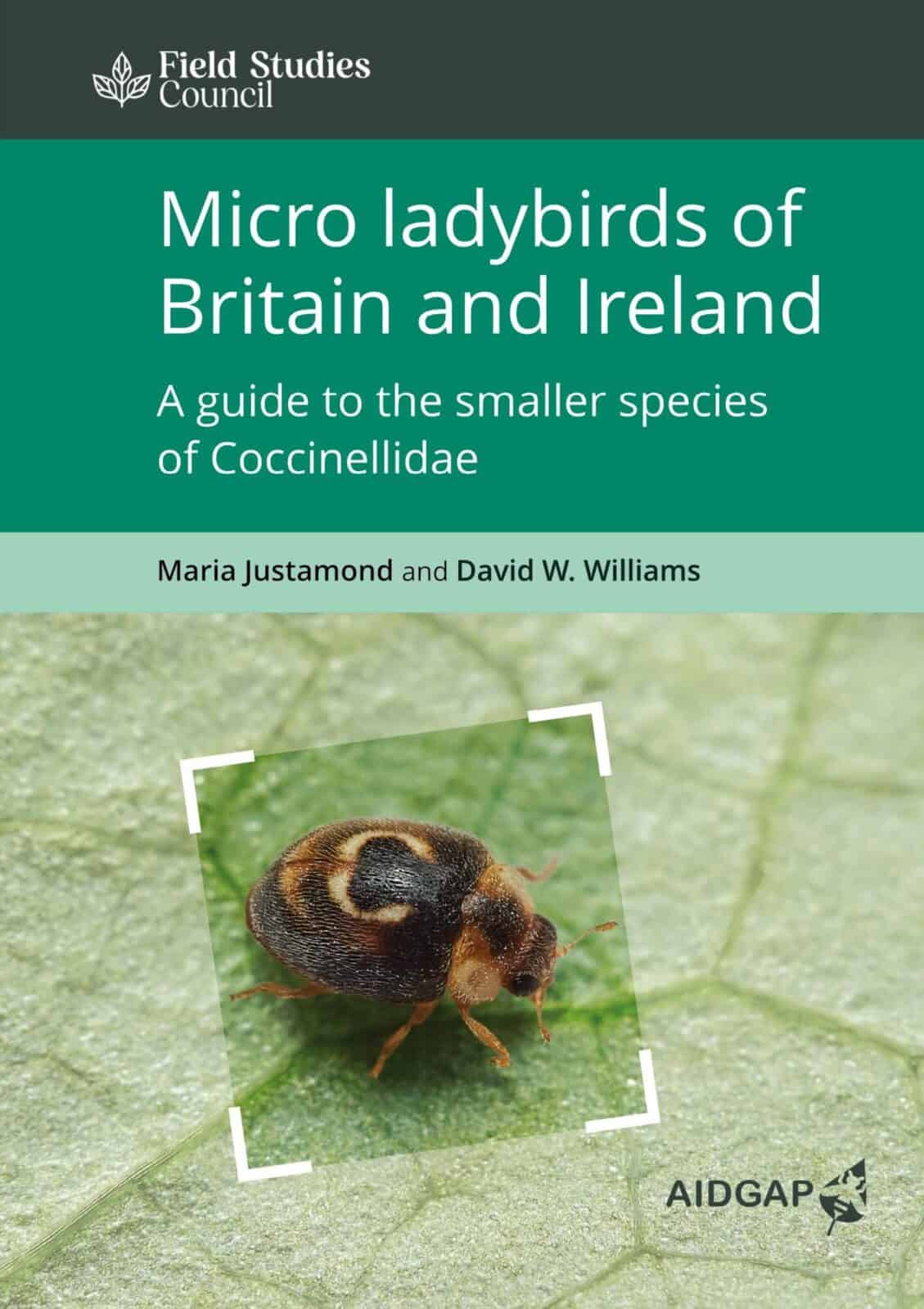 micro ladybirds