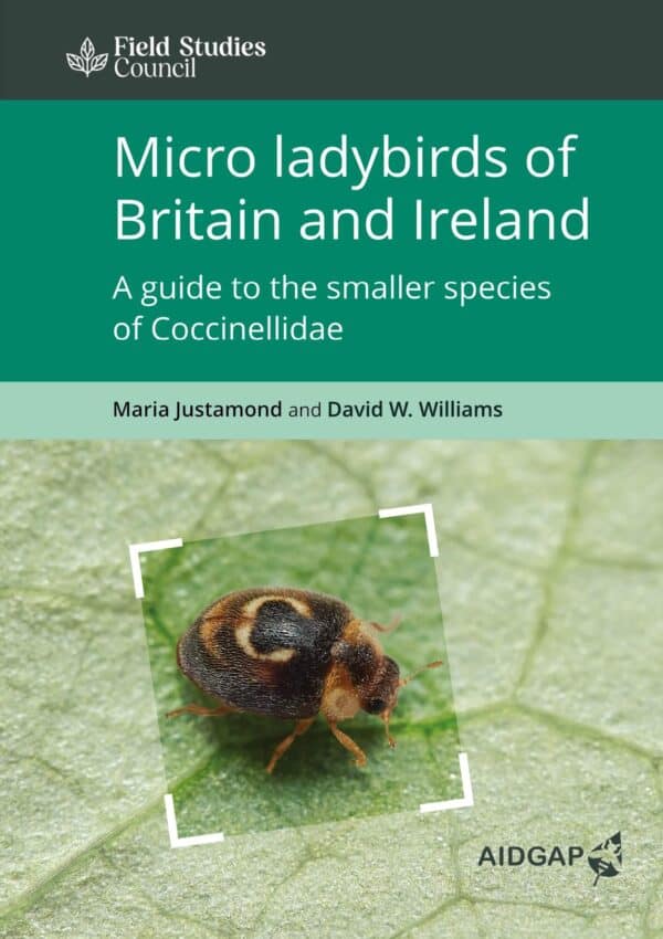 micro ladybirds