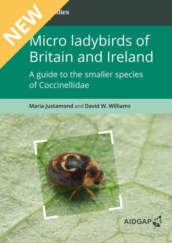 micro ladybirds