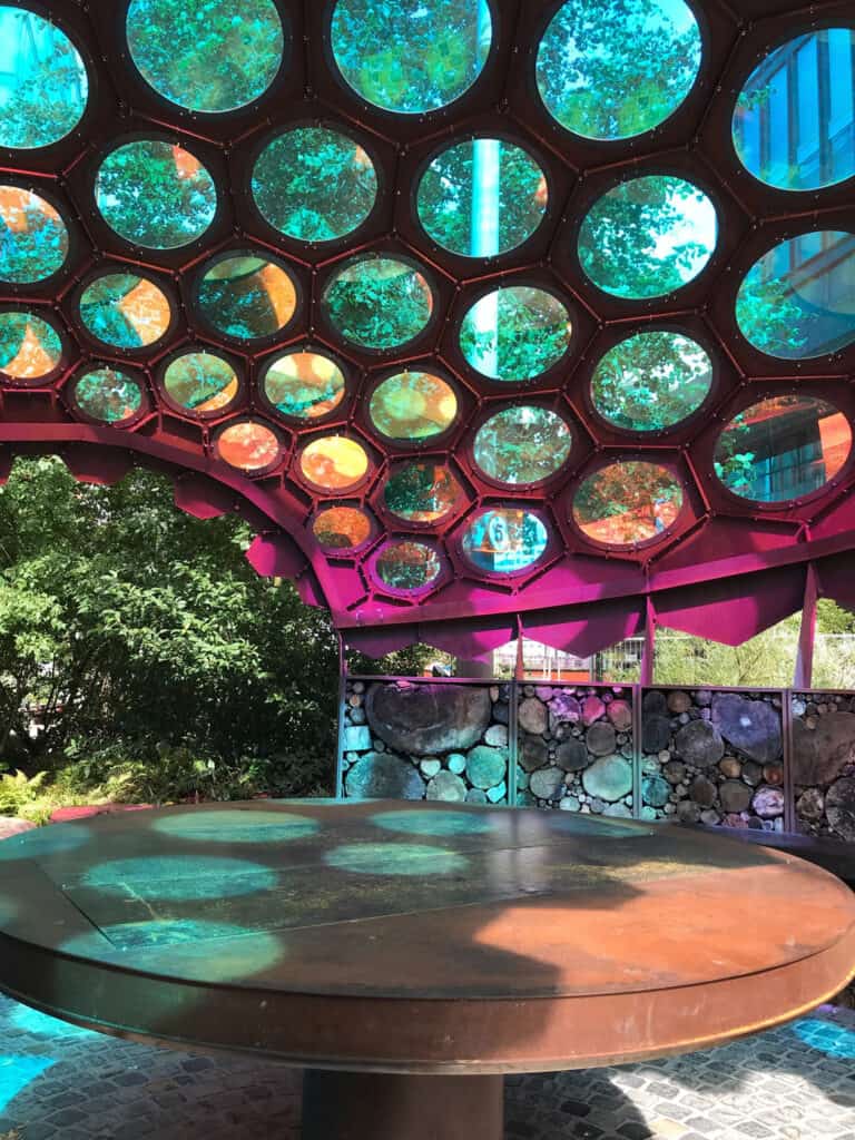 The RES Insect Garden