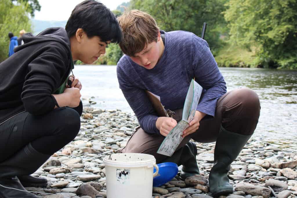 two boys identifying river wildlife