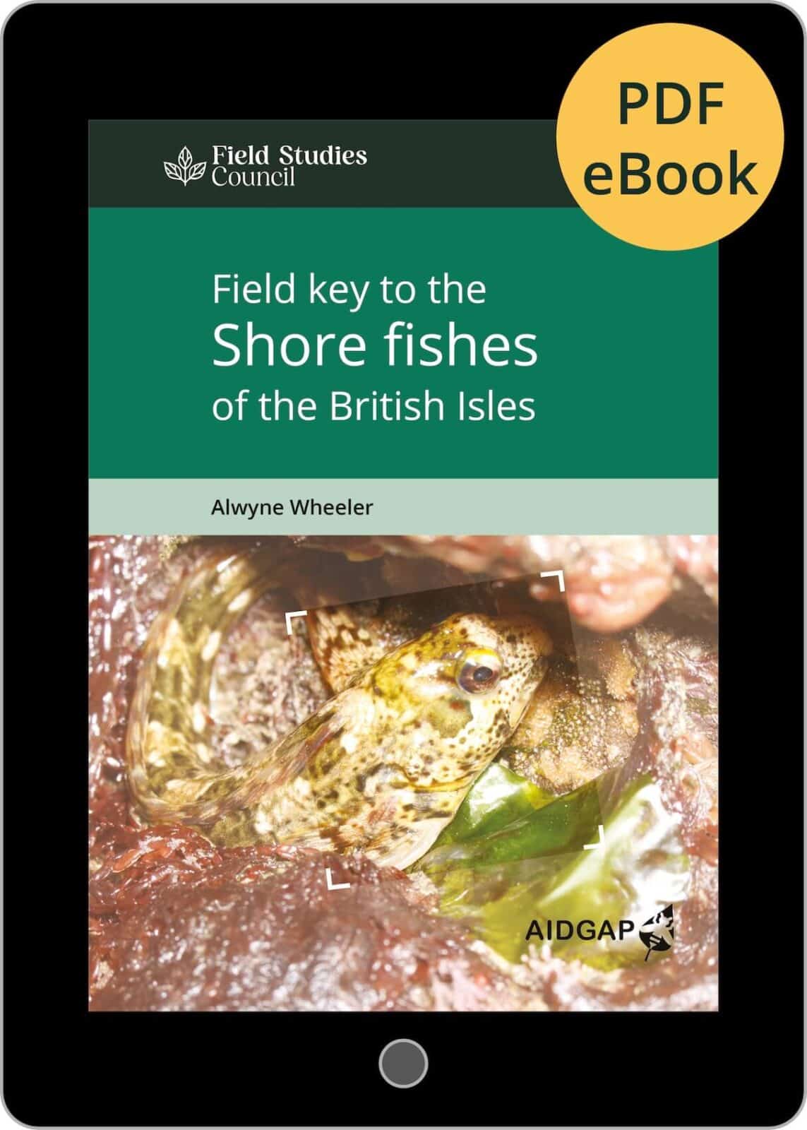 Shore fishes AIDGAP eBook