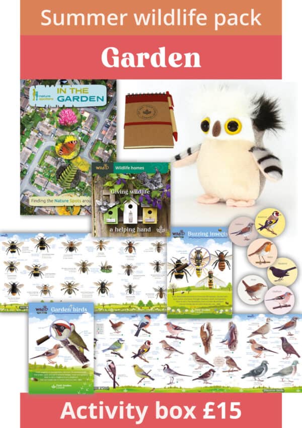 garden summer wildlife pack