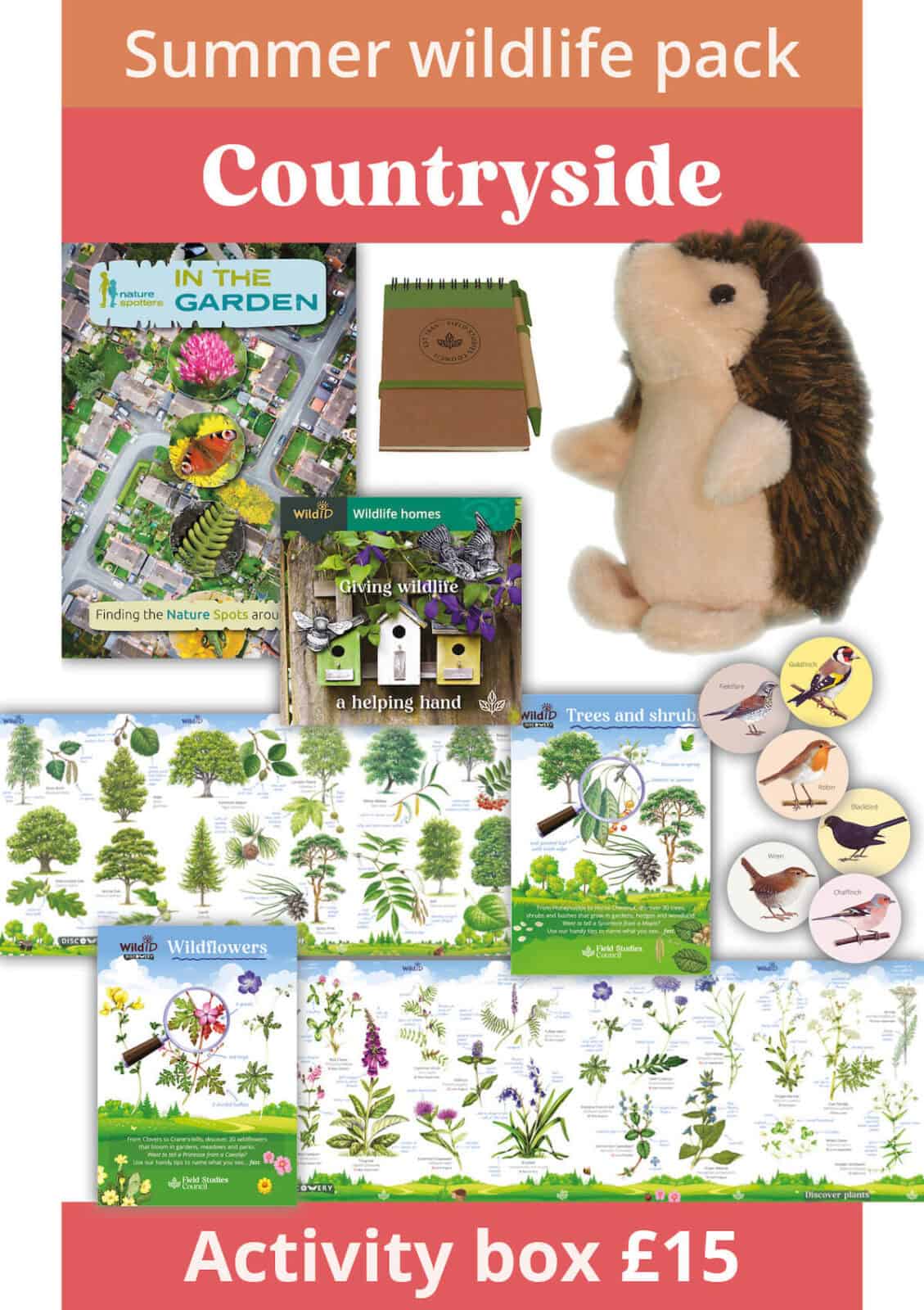 countryside summer wildlife pack