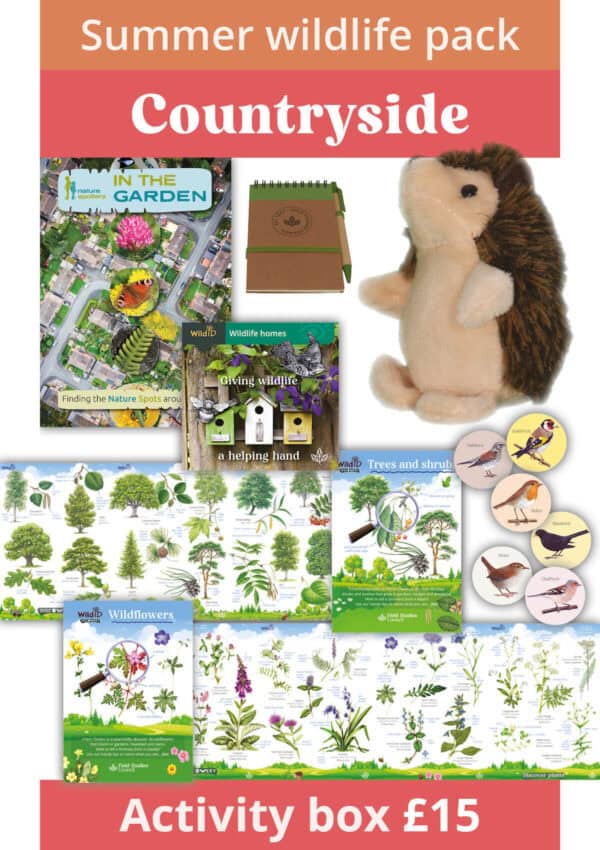 countryside summer wildlife pack