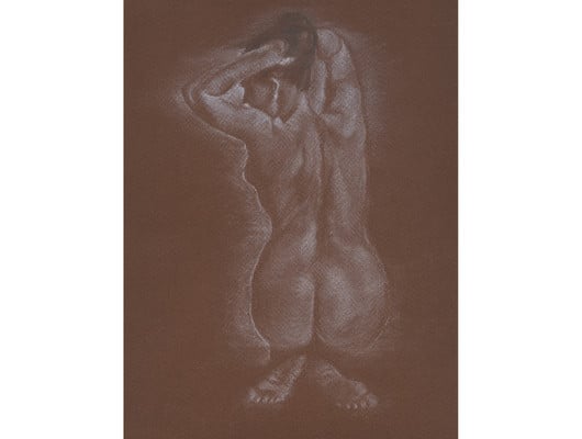 A drawing of the back of a women on a brown background