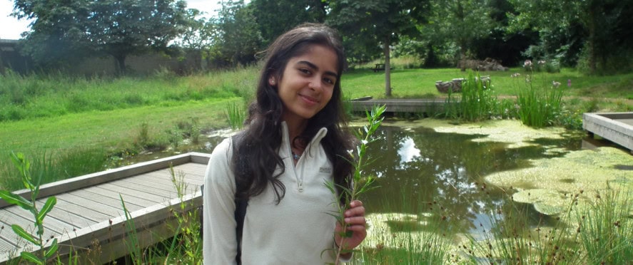 Girl holding a flower