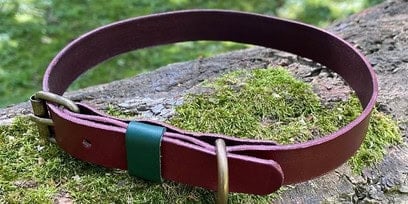 leather dog collar