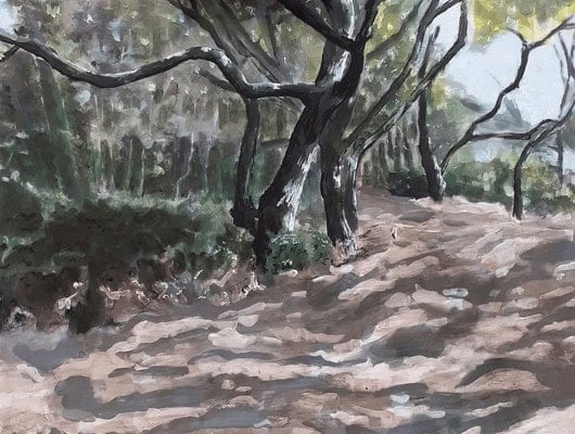 a painting of a woodland