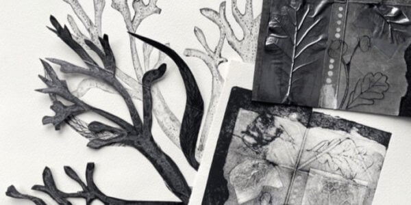 Image of a branch in black and white - From Waste to Art