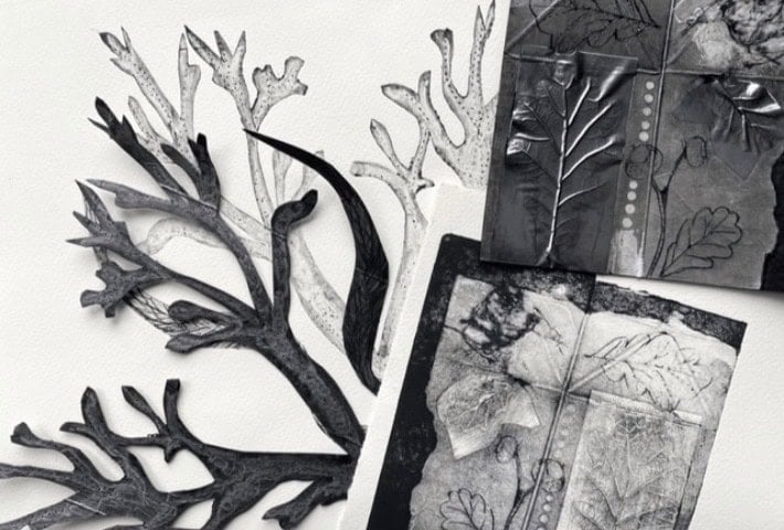 Image of a branch in black and white