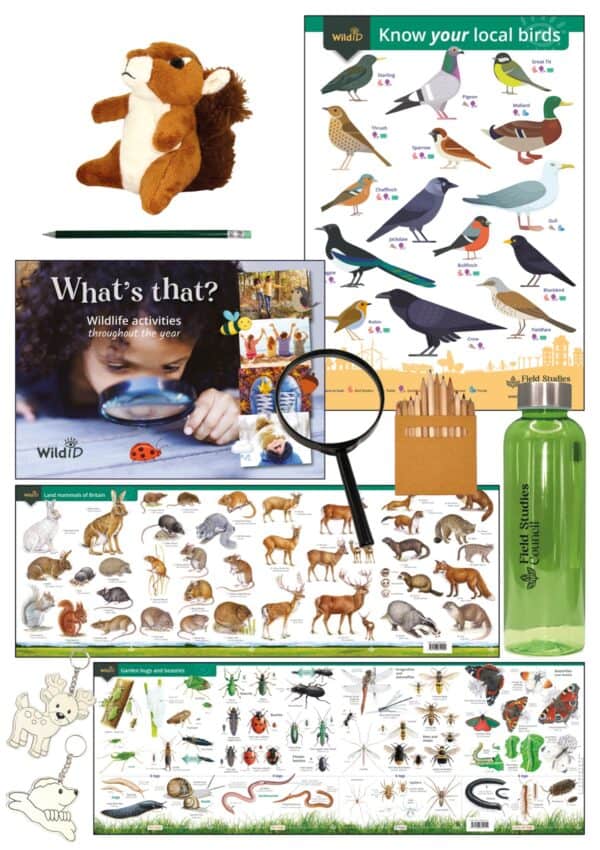 wee watchers wildlife pack