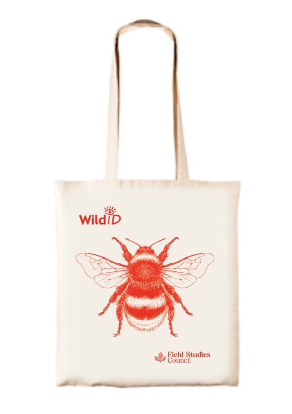 bumblebee bag