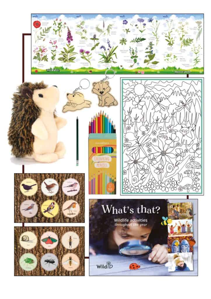 wildlife explorers box