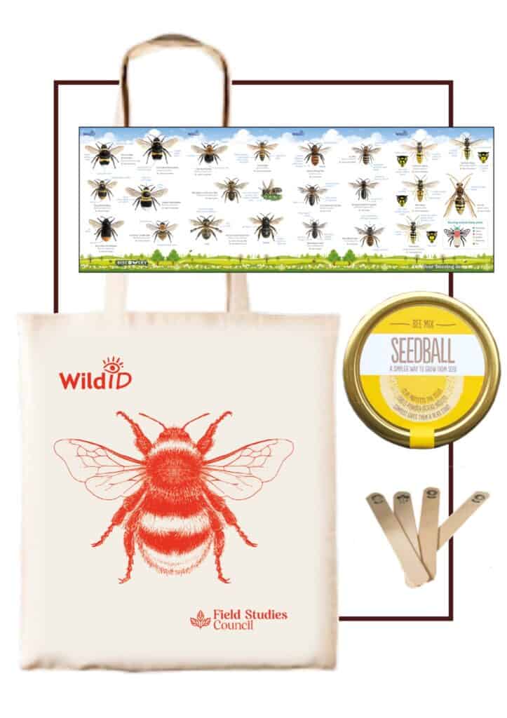 Bee box