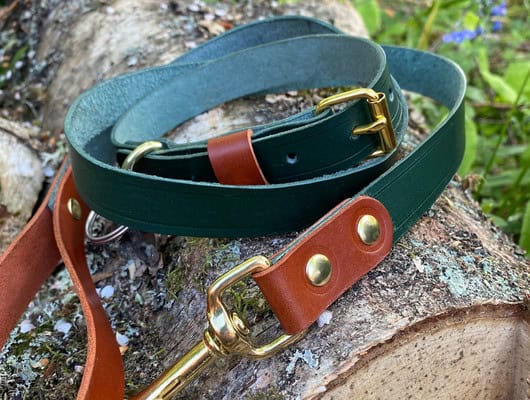 green leather dog lead