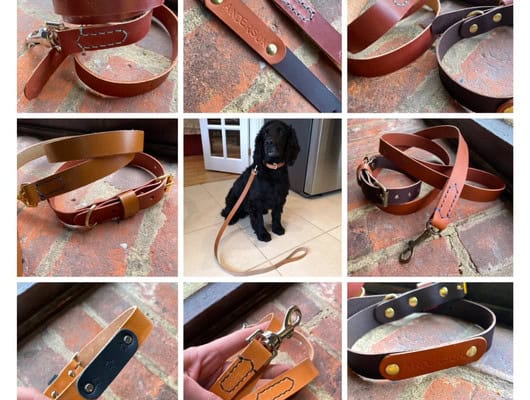 leather dog collar and lead with a black dog