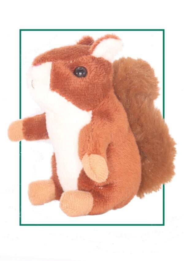 squirrel