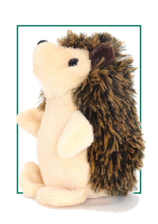 hedgehog