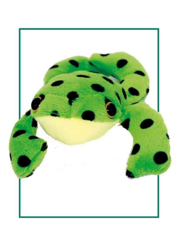 frog