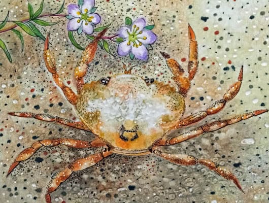 A drawing of a crab with flowers