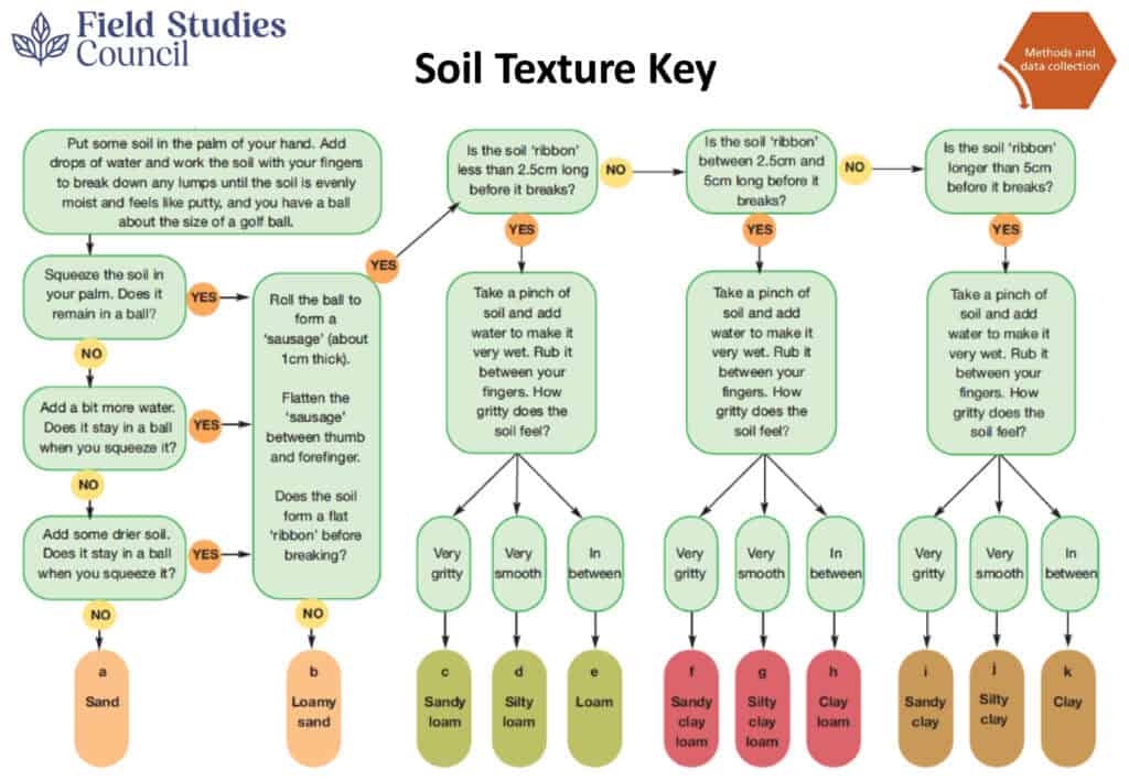 Water Cycle - Worksheet - Soil Texture Key
