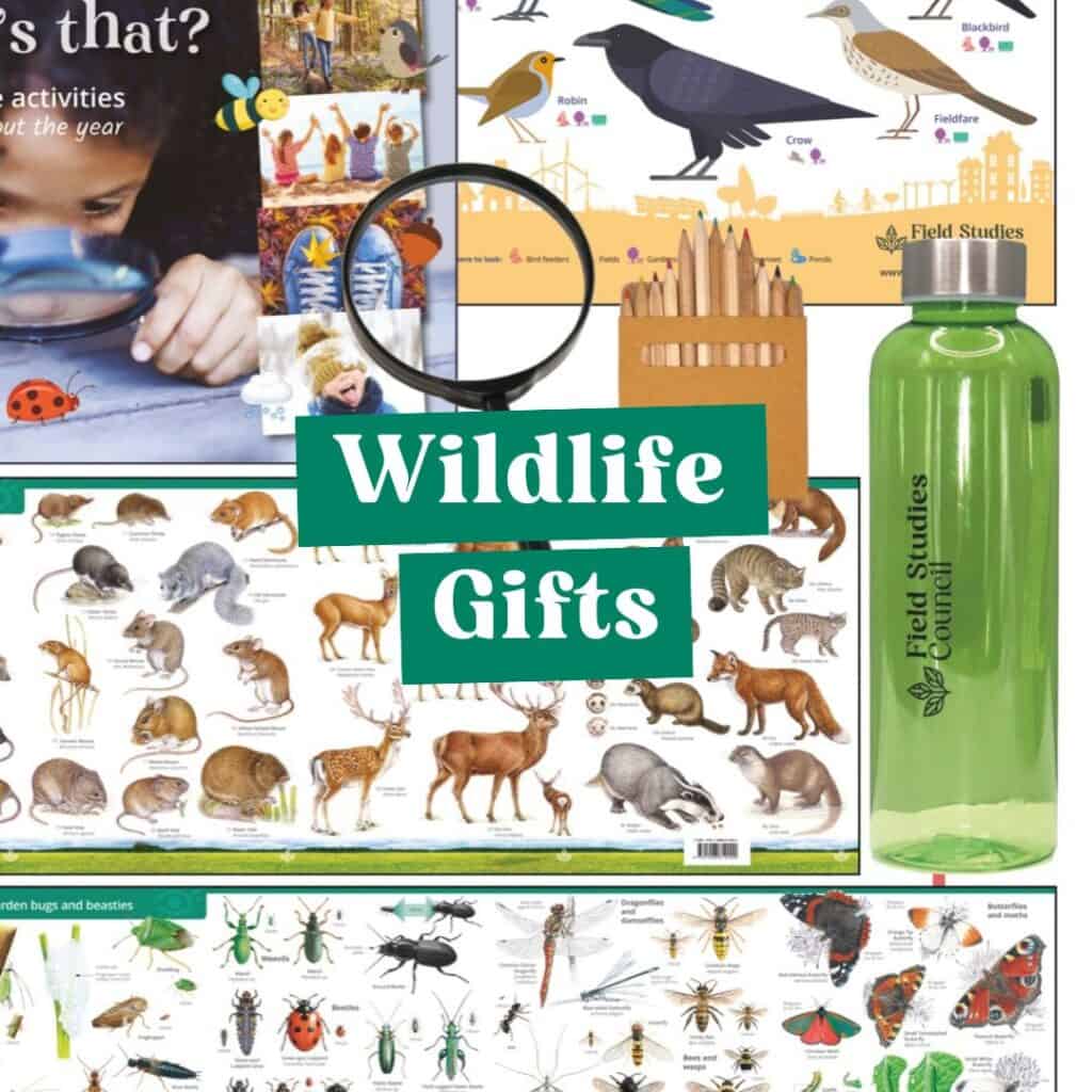 Wildlife gifts promotional image. Mix of gifts in background.