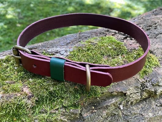 brown leather dog collar
