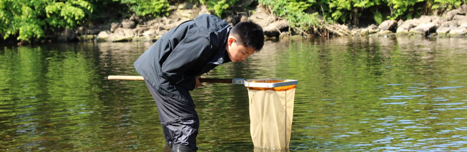 boy standing in river concentrating looking into net