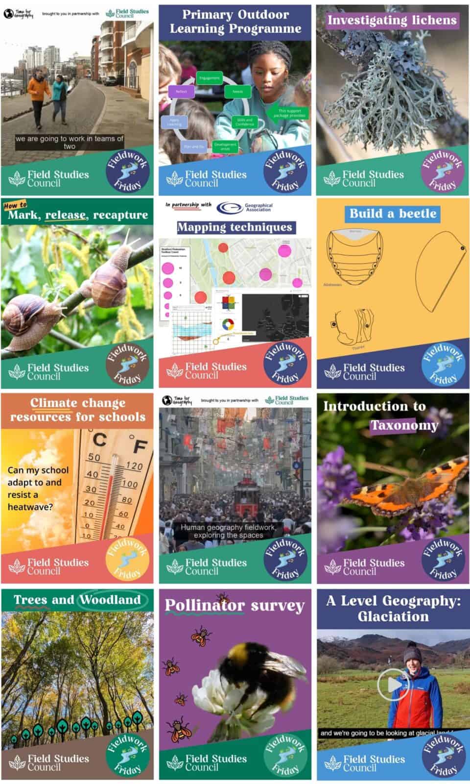 12 images showing each Fieldwork Friday social graphic