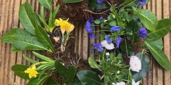 A picture of a wreath made from green leaves and spring flowers