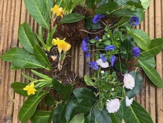 A picture of a wreath made from green leaves and spring flowers