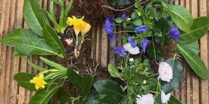 A picture of a wreath made from green leaves and spring flowers