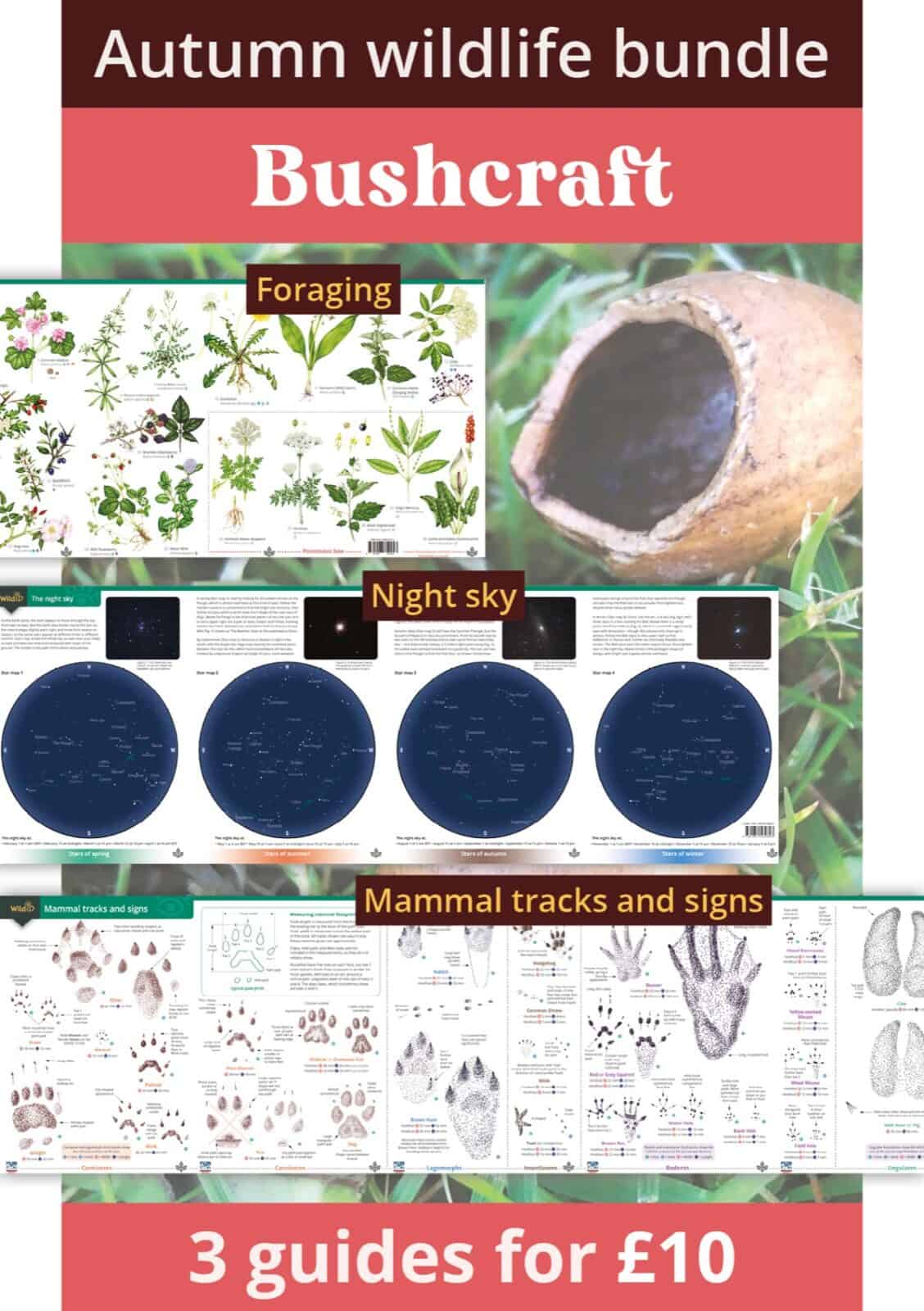 Autumn bushcraft bundle