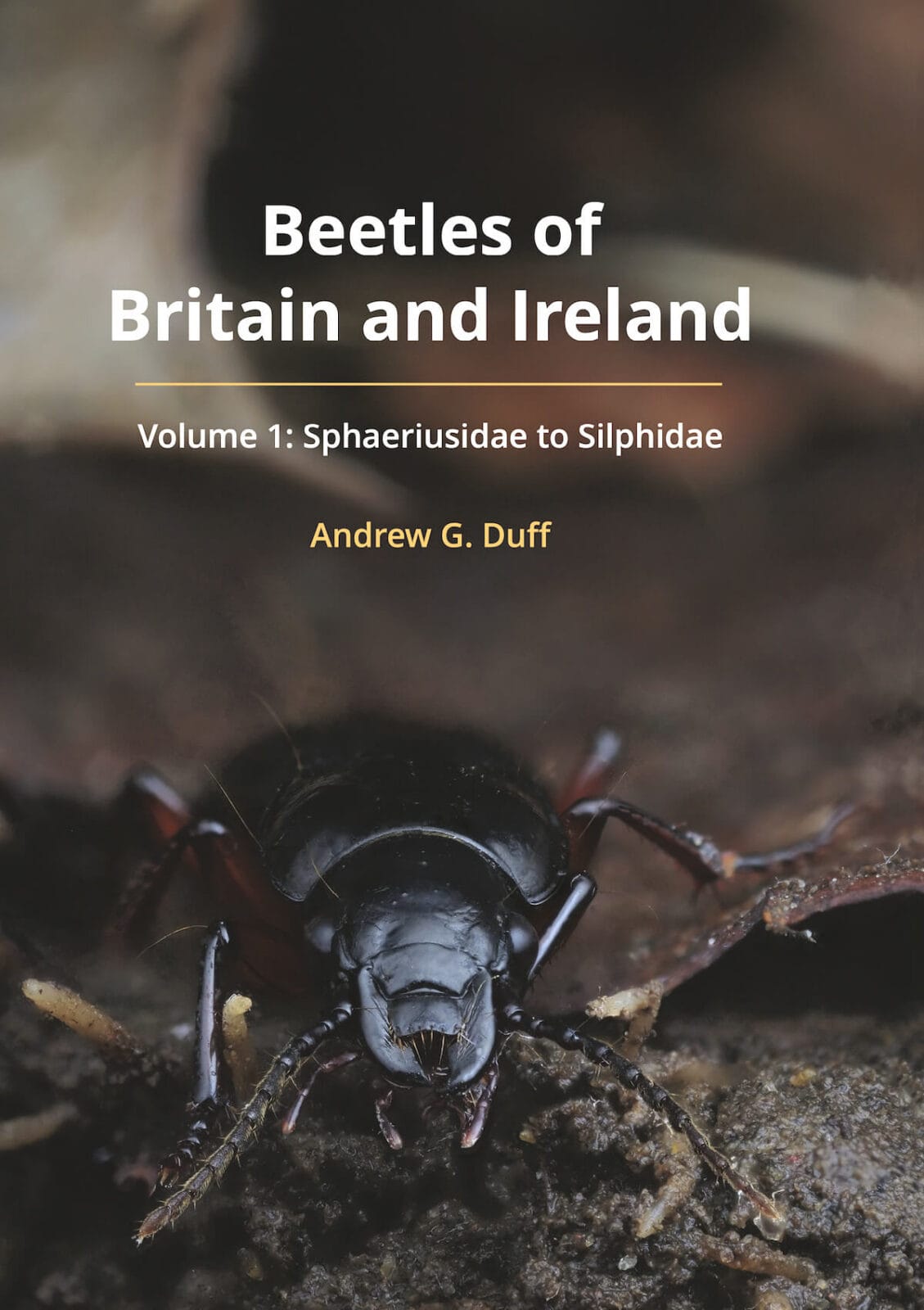Duff Beetles of Britain and Ireland volume 1
