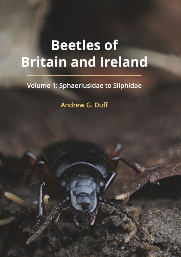 Duff Beetles of Britain and Ireland volume 1
