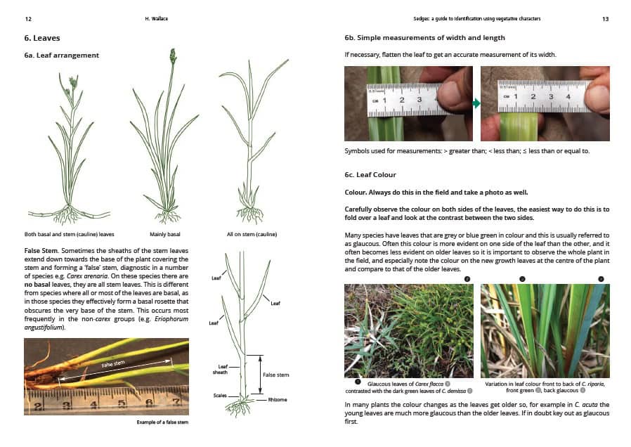 AIDGAP Sedges
