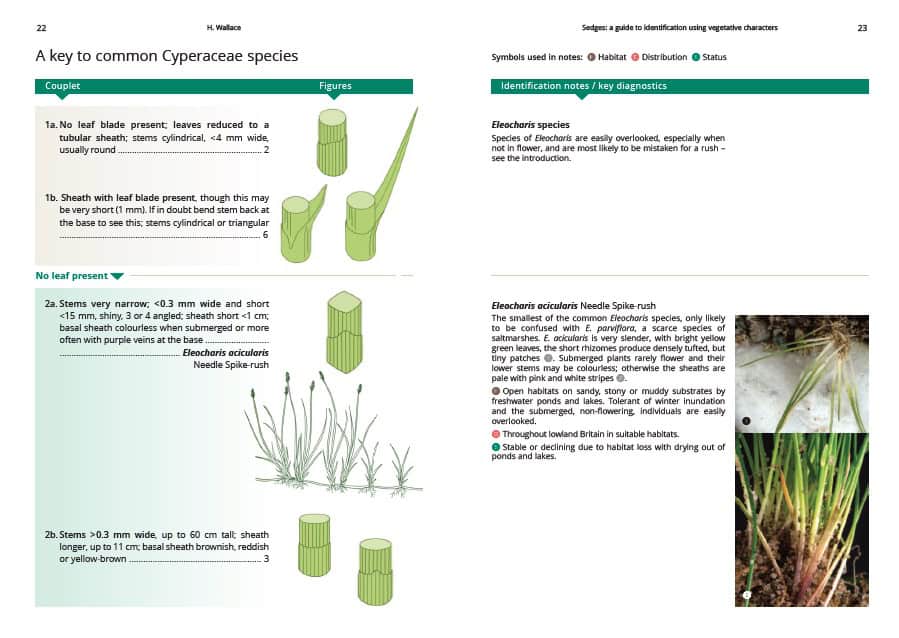 AIDGAP Sedges