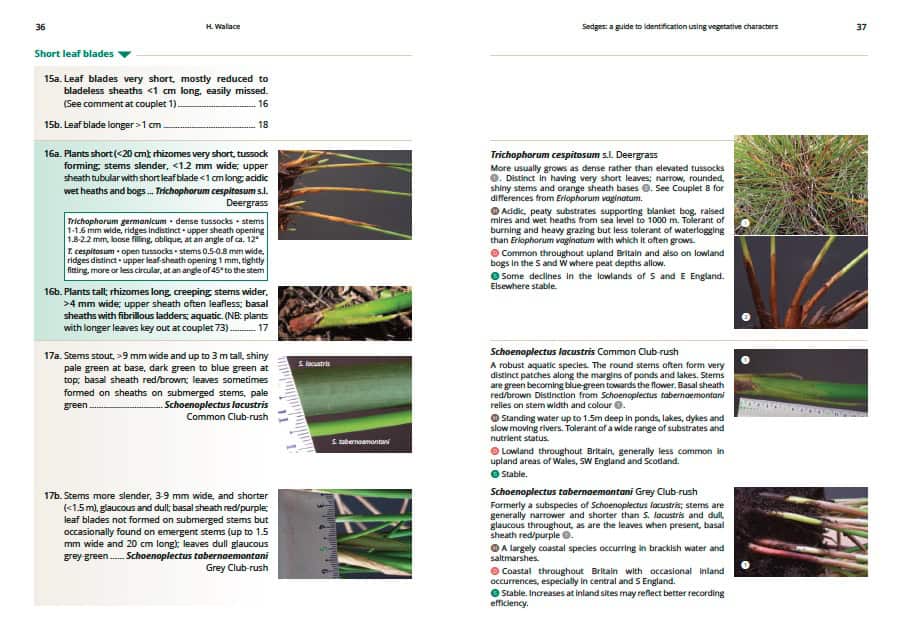 AIDGAP Sedges