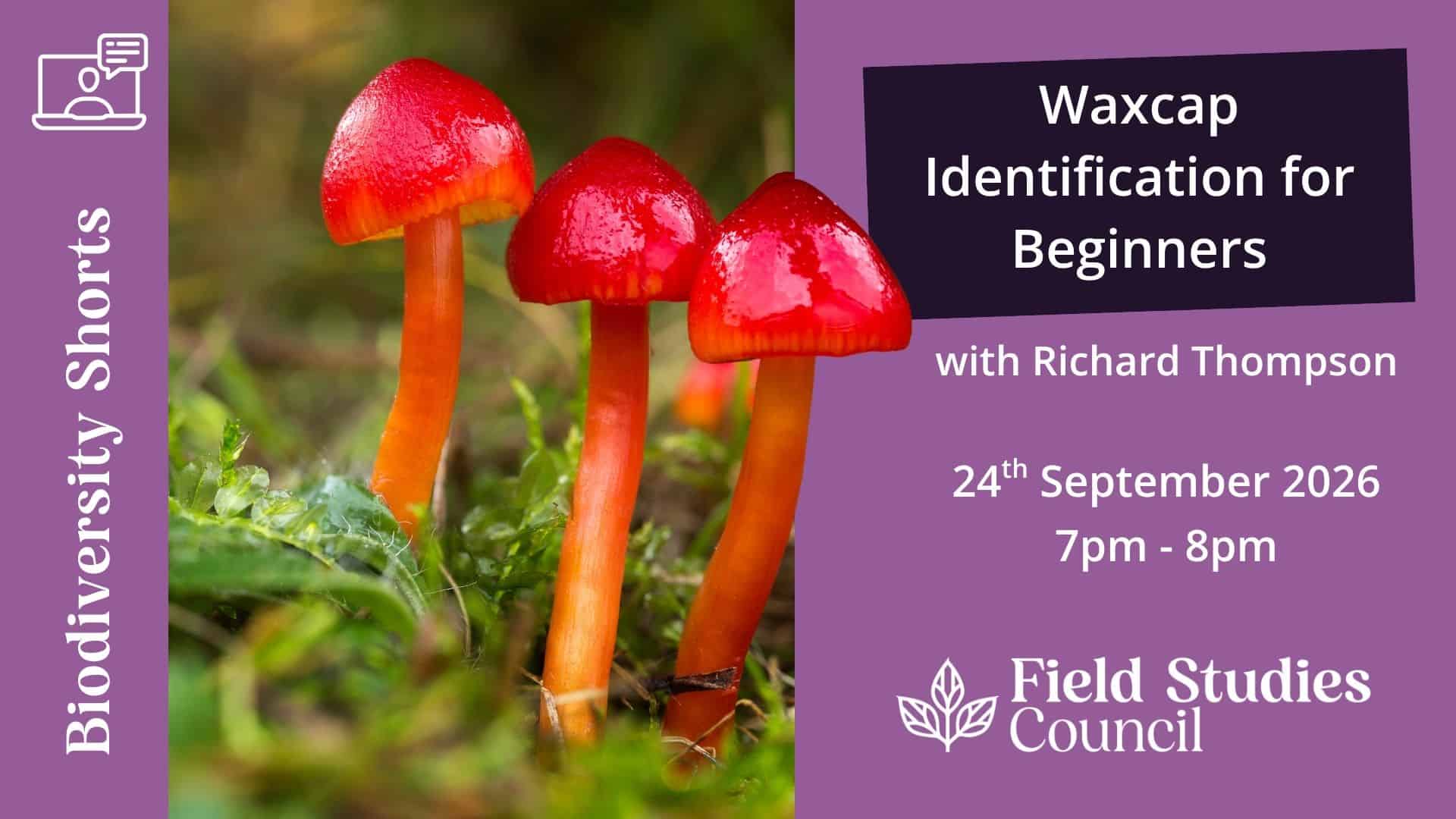 Promotional image fungi webinar of waxcaps