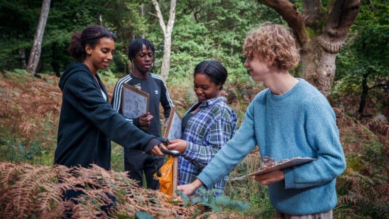 Four young people taking part in field studies. They are in a woodland area with ferns.