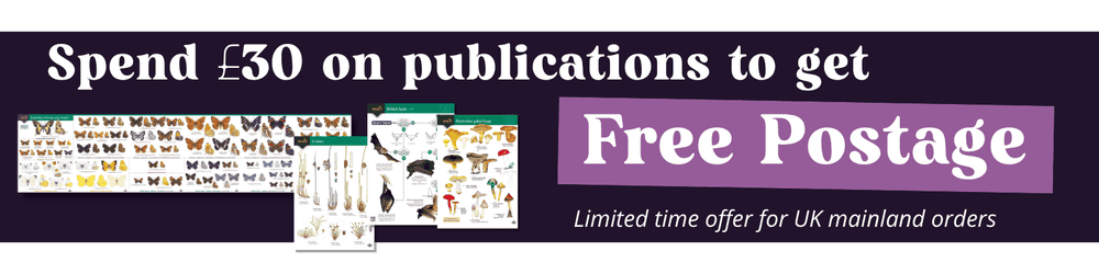 Postage offer banner