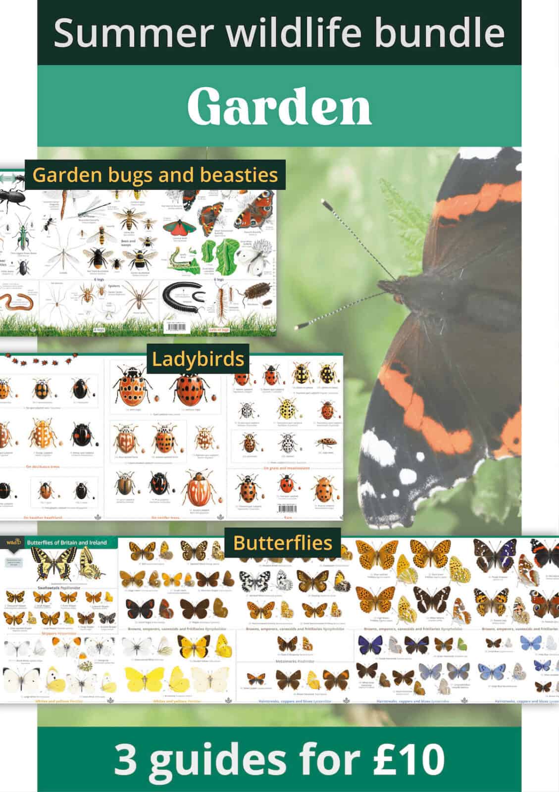 Summer garden wildlife bundle