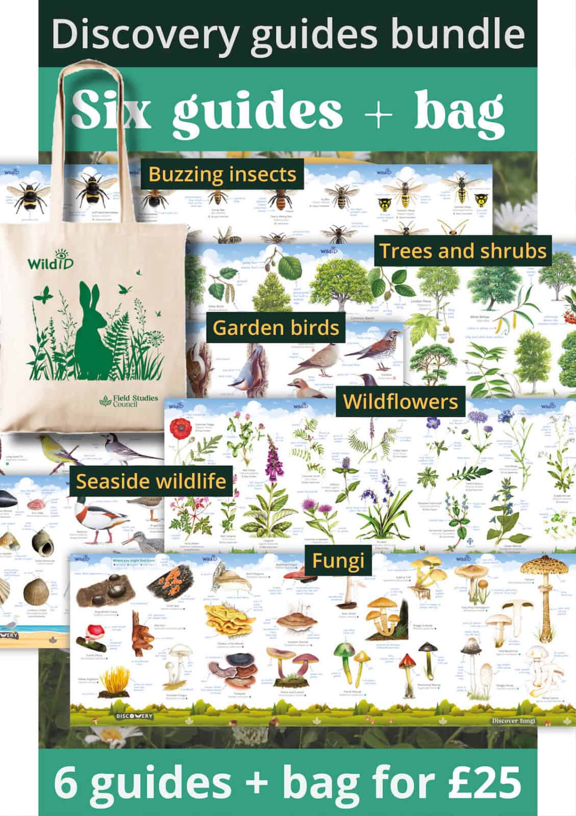 SB80 Discovery guides plus Tote bag (green)