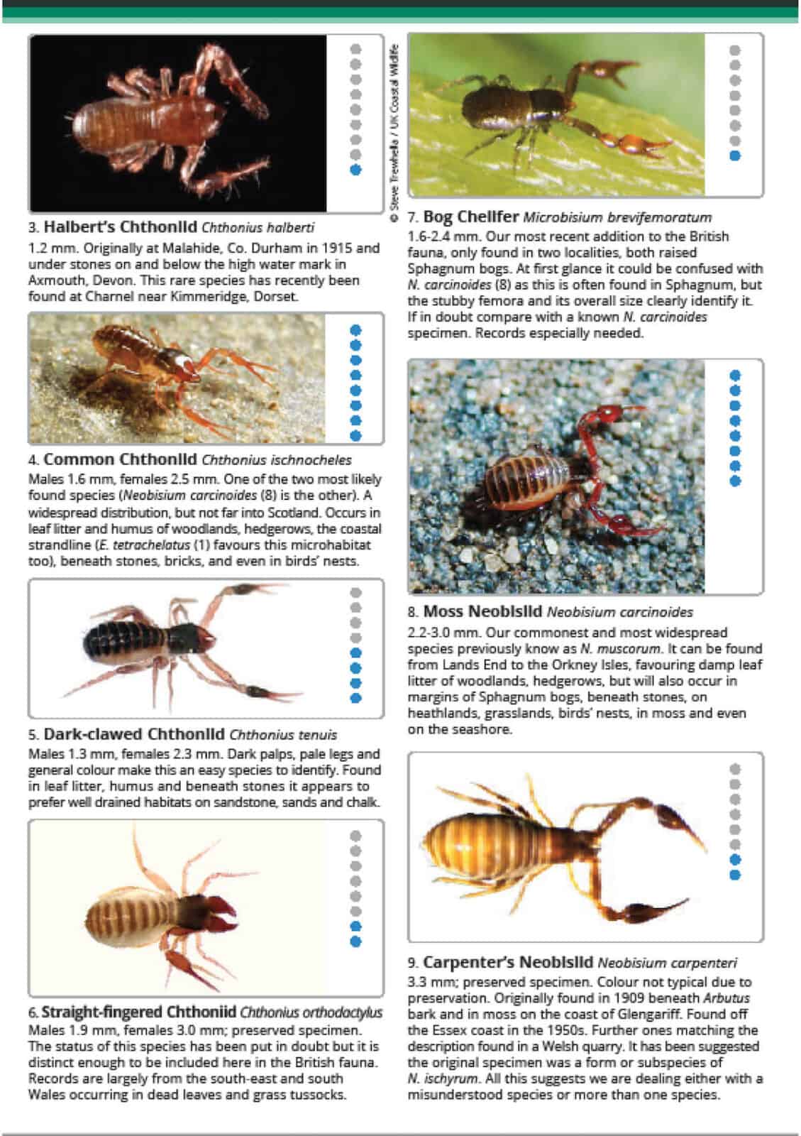OP173 False scorpions AIDGAP