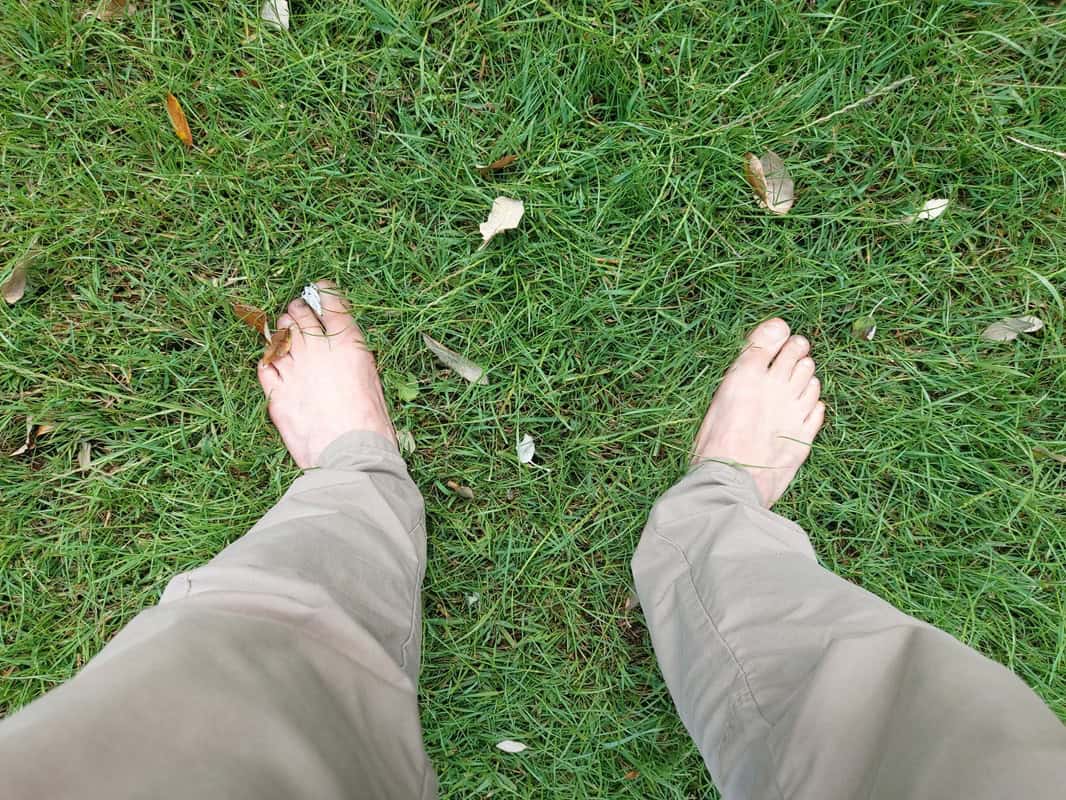 a photo of bare feet - Creating Connections in Nature