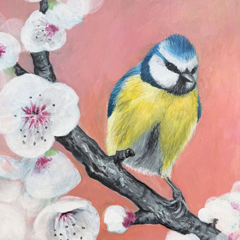 Drawing of a blue tit on a cherry blossom branch - Birds in Nature and Creative Expression