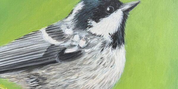 A painting of a garden bird - Painting Garden Birds with Character