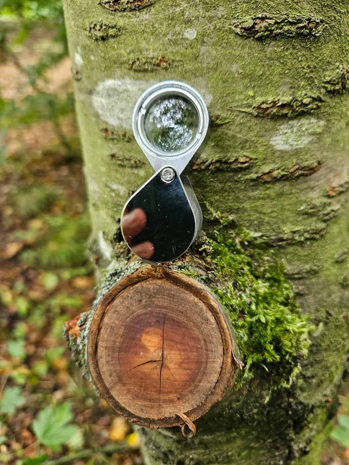 Creating Connections in Nature