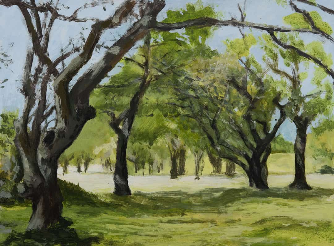 A painting by Steve Joyce of Rushmere Heath - An Introduction to Acrylics